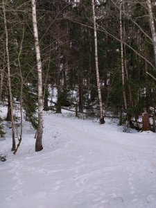 DSC_0576.JPG