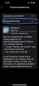 IMG_2604.jpeg