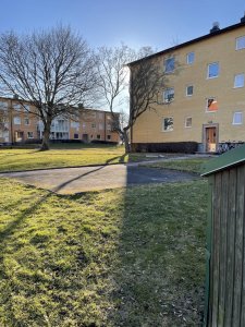 IMG_0194.jpeg