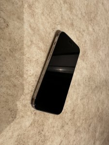 IMG_0004.jpeg