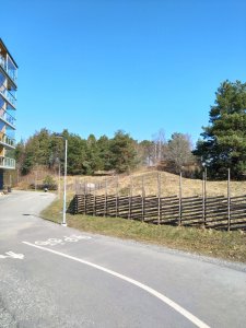 DSC_0623.JPG