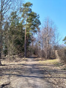 DSC_0625.JPG