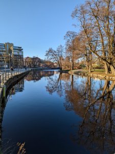 PXL_20230419_052923270.jpg