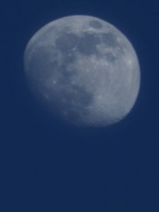 20230402_184110.jpg