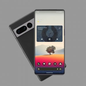 hishoot pixel 7 pro.jpeg