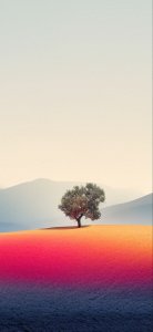 wallpaper.jpeg