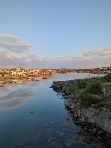 PXL_20230511_182556601.jpg