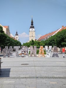 DSC_1187.JPG