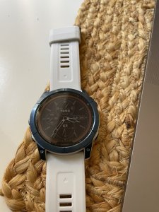 IMG_0100.jpeg