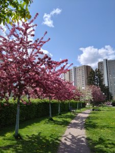 DSC_1400.JPG