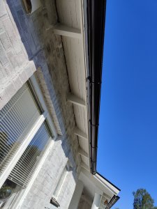 IMG20230604175212.jpg