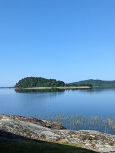PXL_20230607_073106307.jpg
