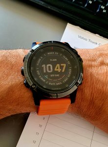 20230609_104801.jpg