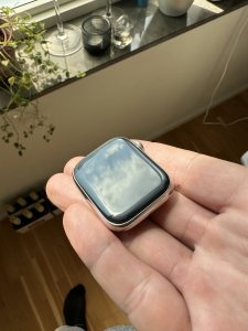 IMG_7366.jpeg