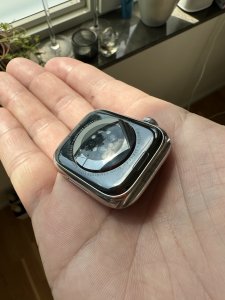 IMG_7367.jpeg
