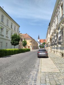 DSC_1172.JPG