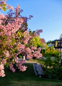 IMG_20230610_201915~2.jpg