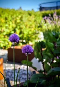 IMG_20230610_184900~2.jpg