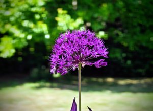 IMG_20230610_121516~2.jpg