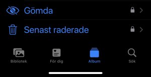 IMG_2798.jpeg