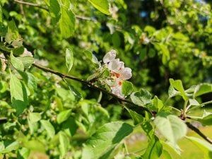 IMG_20230614_165337.jpg
