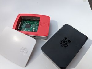 PXL_20230616_132308197.jpg