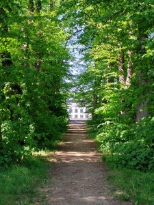 DSC_1476.JPG