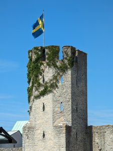 PXL_20230626_093237567.jpg
