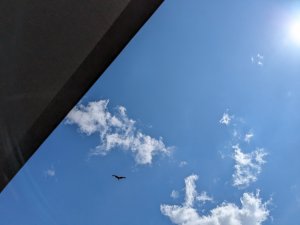 PXL_20230628_114629240.jpg