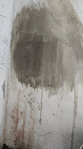 20230626_121804.jpg