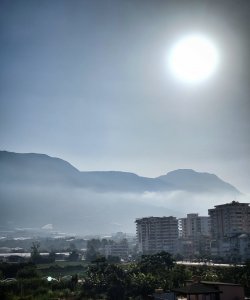 IMG_20230629_074653-01.jpeg