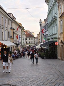 DSC_0902.JPG
