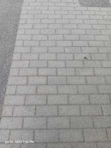 20230701_195614.jpg