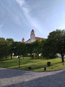 DSC_1210.JPG