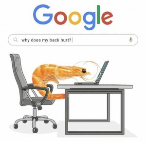 c2bb70c2-f73d-48e8-9776-e0685f38f80f.jpeg
