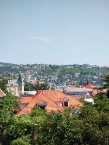 DSC_1271.JPG