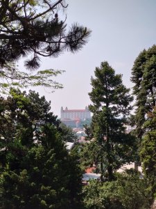 DSC_1290.JPG