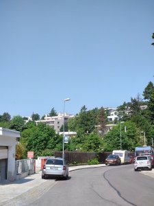 DSC_1291.JPG