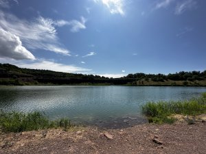 IMG_2188.jpeg