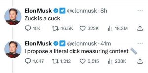 musk.jpeg