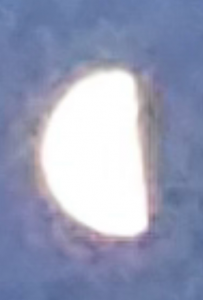 Screenshot_20230710_131031_Gallery.png