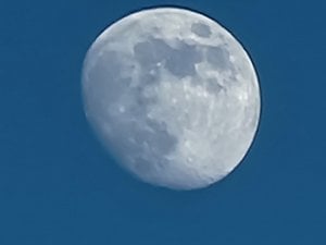 20230202_152715.jpg