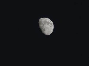 IMG_20230430_210352.jpg