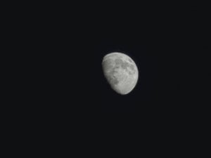 IMG_20230430_210346.jpg