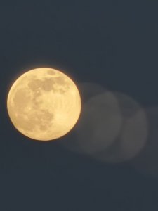 20230306_180134.jpg