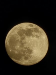 20230306_180150.jpg