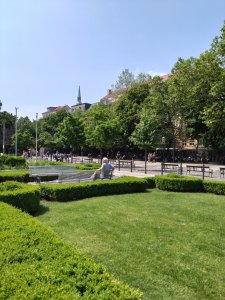 DSC_1325.JPG