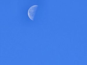 20230710_060755.jpg