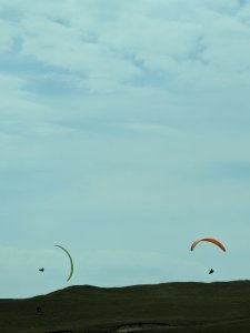 PXL_20230707_120529390.jpg
