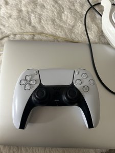 IMG_0538.jpeg